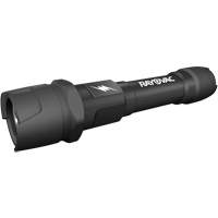 Lampe de poche pratiquement indestructible, DEL, 350 lumens, Piles AA Pronet Distribution