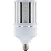 Ampoule HID de remplacement s&eacute;lectionnable ULTRA LED, E26, 18 W, 2700 lumens Pronet Distribution