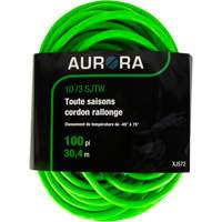 Cordon rallonge de calibre industriel, Toutes saisons, SJTW, AWG 10/3, 15 A, 100' Pronet Distribution